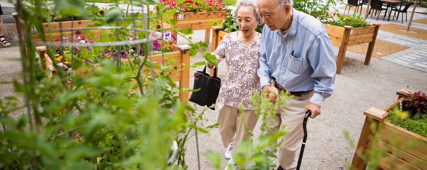 Two people looking at plants in a garden