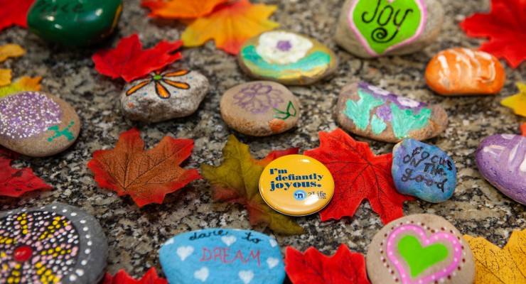 Painted rocks and an "I'm defiantly joyous" pin