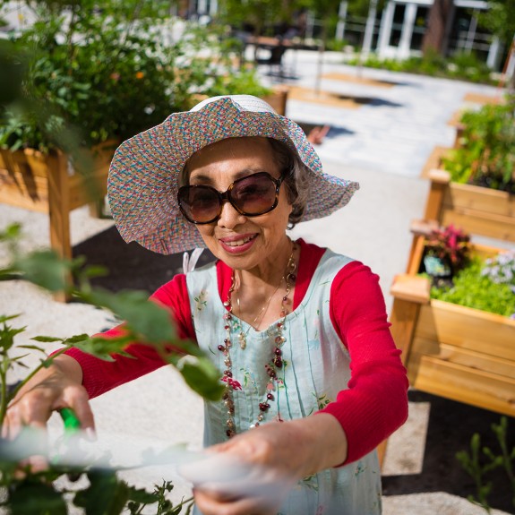 A woman gardening in a raised box garden