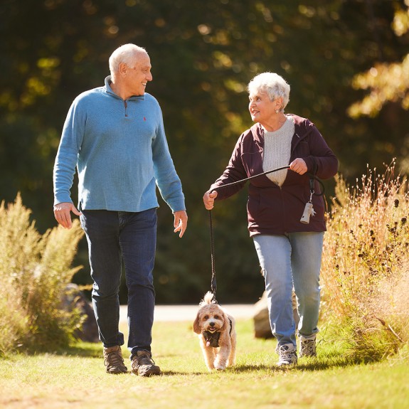 A couple walking a dog on a sunny day