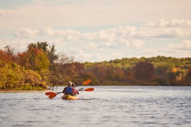Two people kayaking on a sunny day