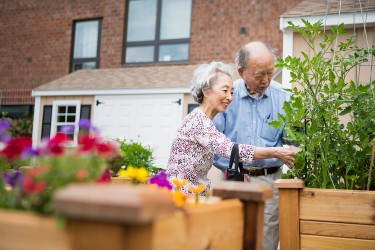 Two people gardening close together