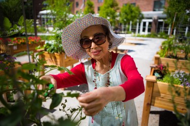 A person in a white hat, white dress, red shirt and sunglasses picking off a plant