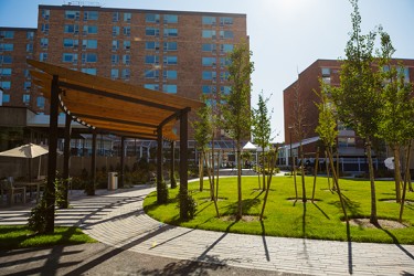 A pathway winding through a park, partially covered