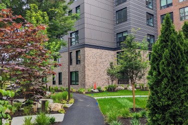Golda Expansion Landscaping & Siding
